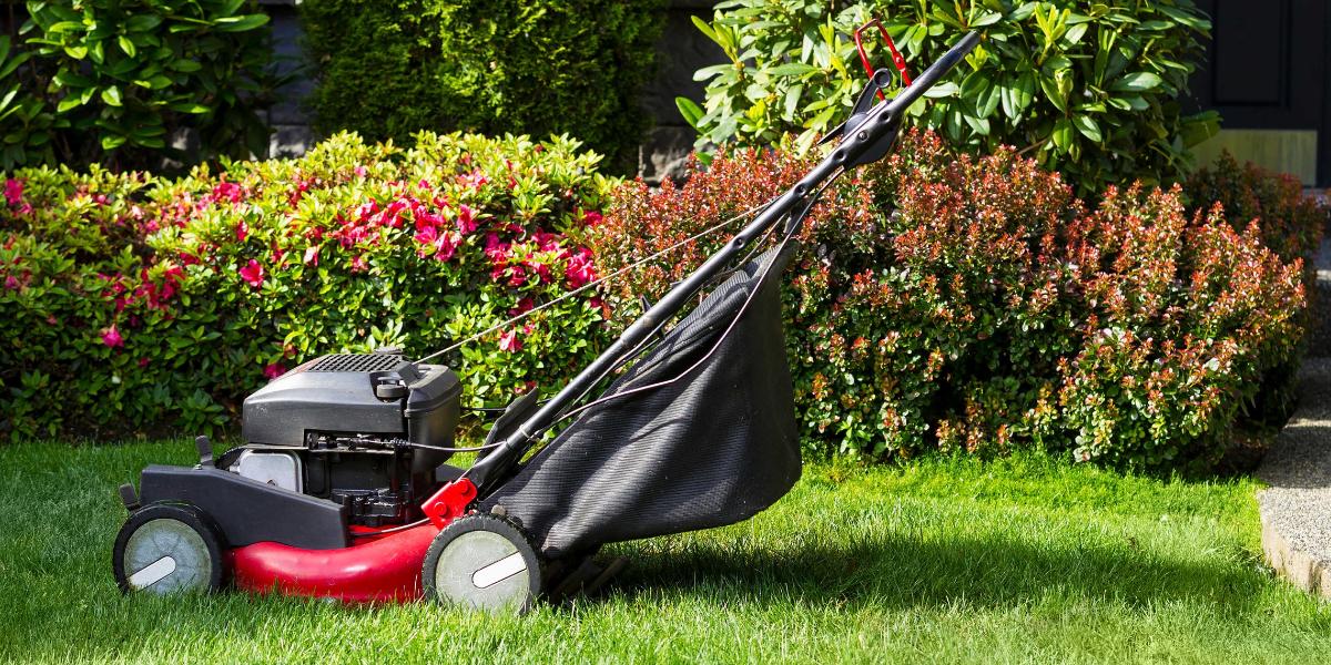 Best way to sharpen reel lawn mower blades - How to sharpen a push